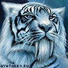 Аватар для NighT_Tiger