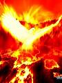   _phoenix_